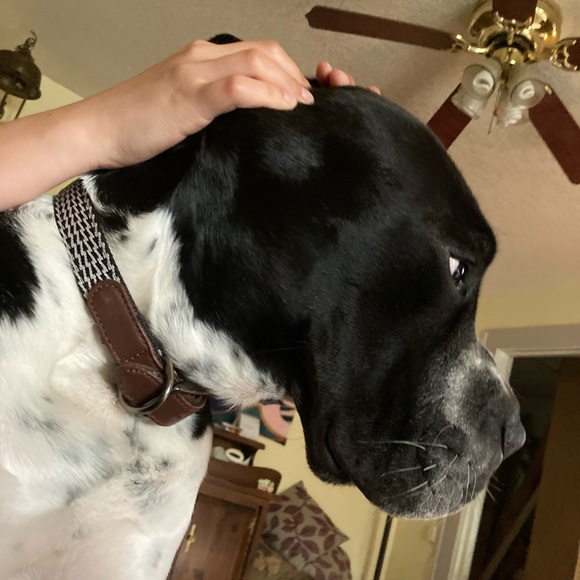 Meet your Posher, Irene - Picture 1 of 1